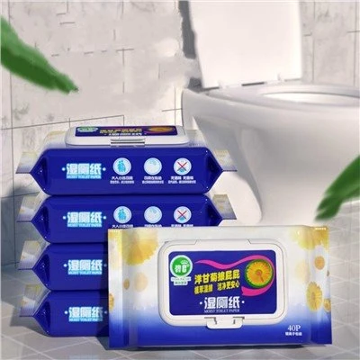 Flushable Toilet Wipes