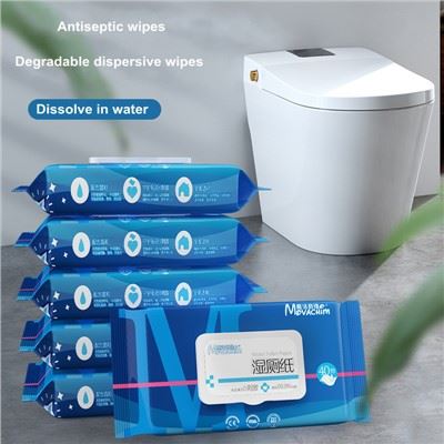 Flushable Wet Wipes