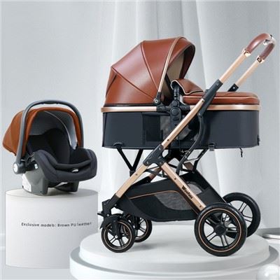 3 In 1 Car Seat Stroller