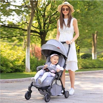Pushchair Travel System
